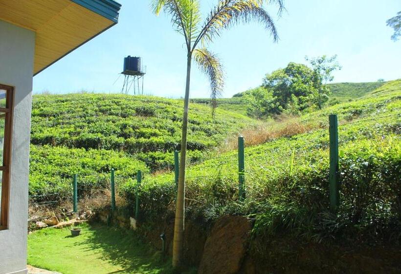 スーペリアー１ベッドルームビラ, Triniton Holiday Villas