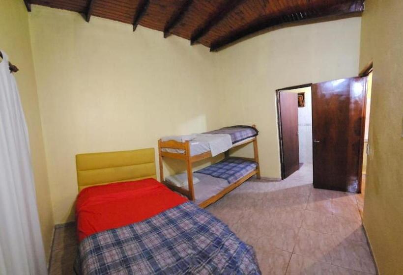 スタンダードルーム, Peixes Apart