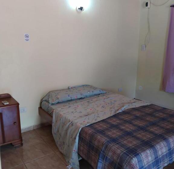 スタンダードルーム, Peixes Apart