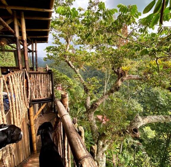 חדר סטנדרט עם מרפסת, La Cabaña Del Nyctibius