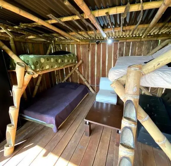 ファミリールーム, La Cabaña Del Nyctibius