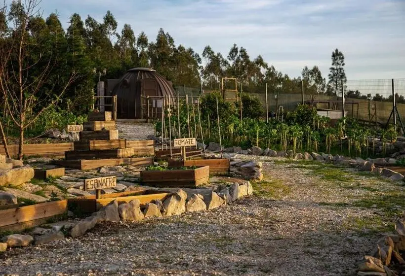 スタンダードルーム, Casas Da Gralha