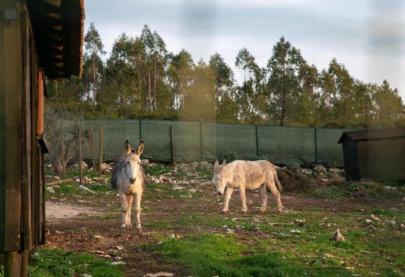إستوديو قياسى, Casas Da Gralha