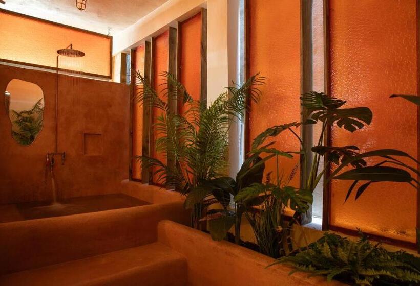 استودیوی لوکس, Noa By Dw