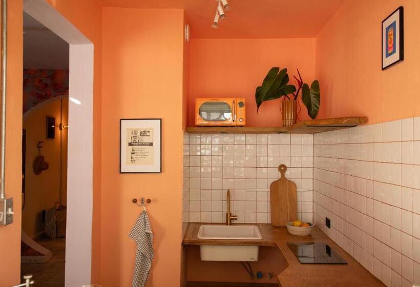 استودیوی لوکس, Noa By Dw