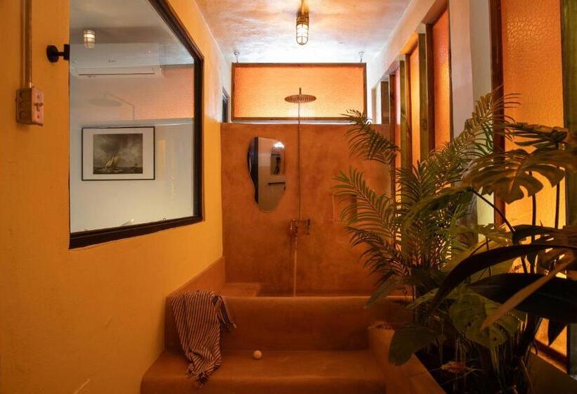 استودیوی لوکس, Noa By Dw