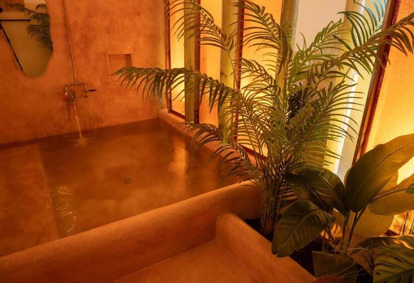 استودیوی لوکس, Noa By Dw