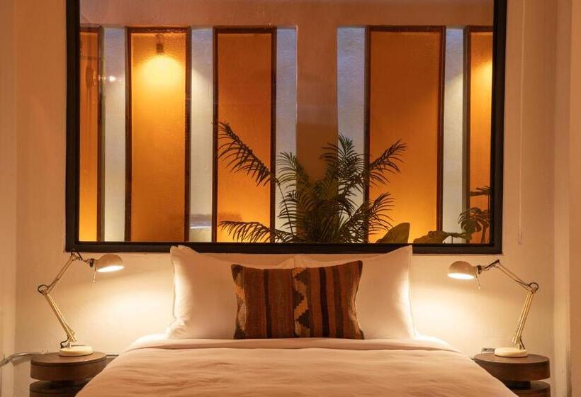 استودیوی لوکس, Noa By Dw