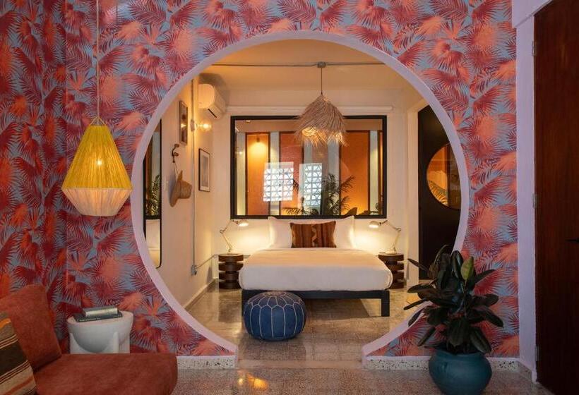 استودیوی لوکس, Noa By Dw