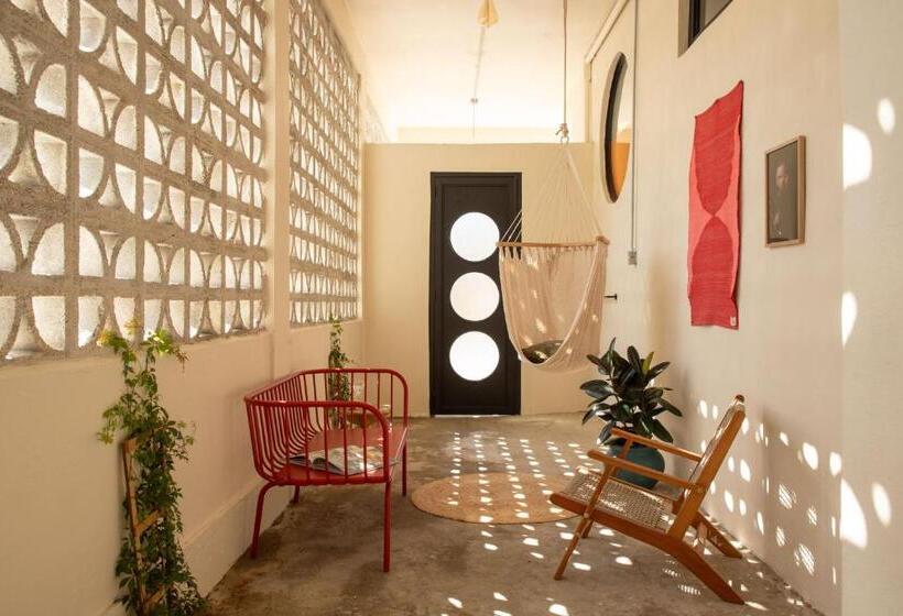 استودیوی لوکس, Noa By Dw