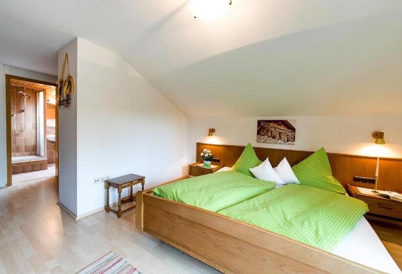 Апартаменты 2 Спальни, Landhaus Bachtelmühle