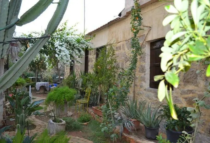 スタンダードルーム, Mystery Garden Guest House