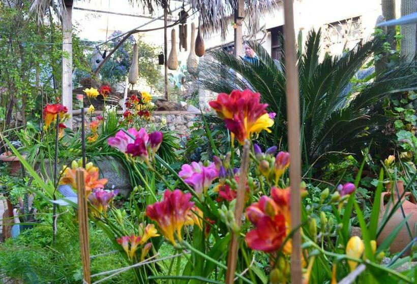 Номер Стандарт, Mystery Garden Guest House