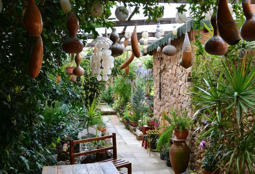 Номер Стандарт, Mystery Garden Guest House
