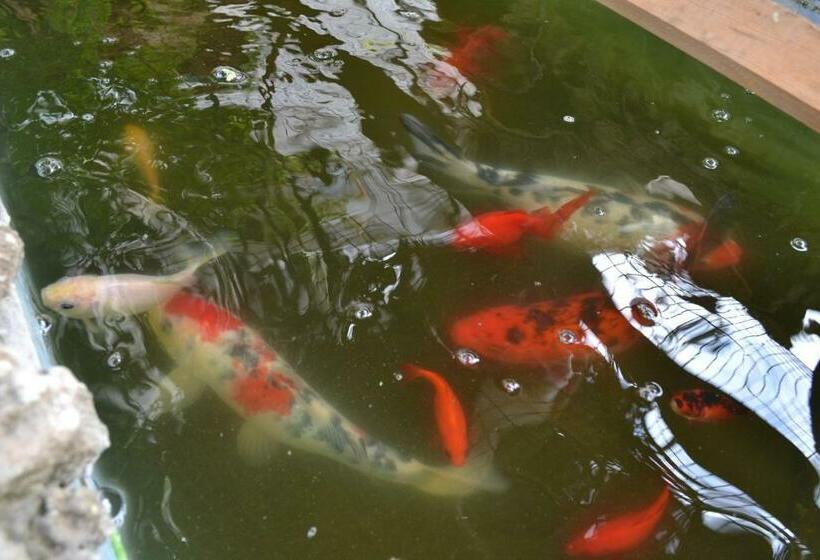 Номер Стандарт, Mystery Garden Guest House