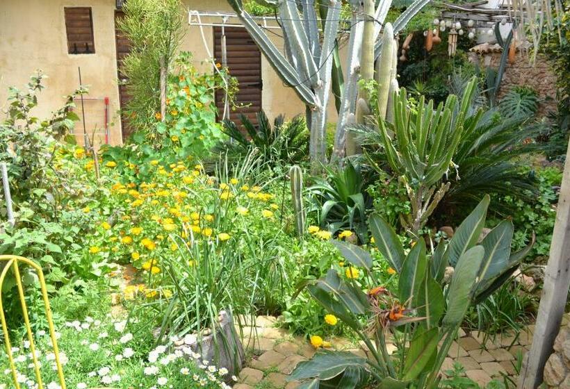 Номер Стандарт, Mystery Garden Guest House