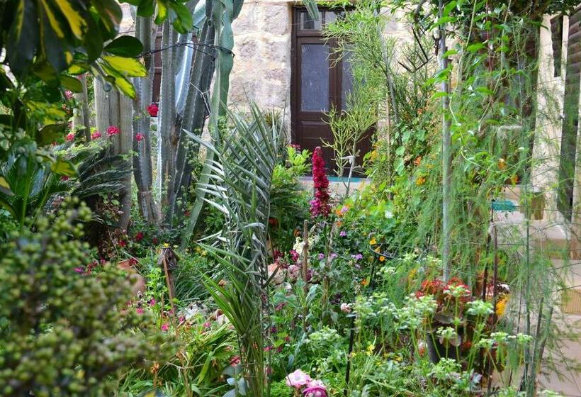 Номер Стандарт, Mystery Garden Guest House