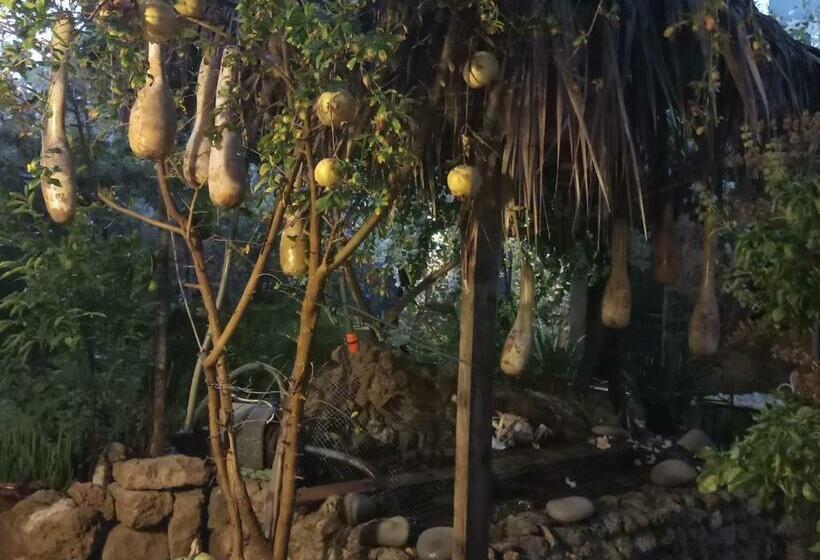 Номер Стандарт, Mystery Garden Guest House