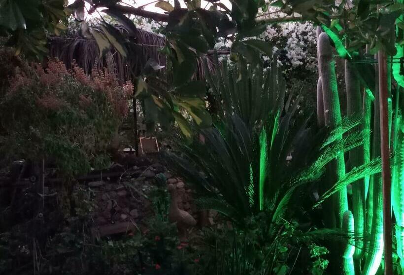 Номер Стандарт, Mystery Garden Guest House
