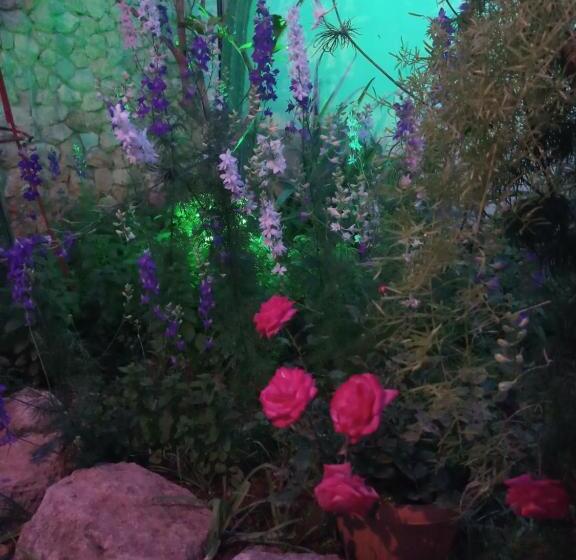 Номер Стандарт, Mystery Garden Guest House