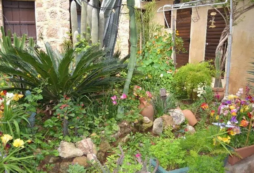エコノミーシングルルーム, Mystery Garden Guest House