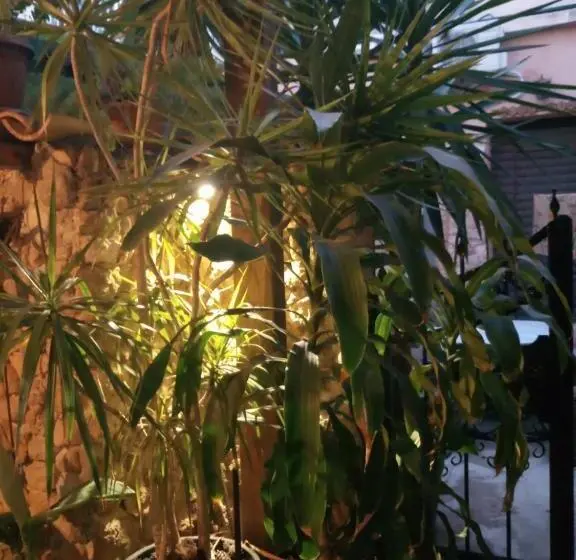 スタンダードトリプルルーム, Mystery Garden Guest House