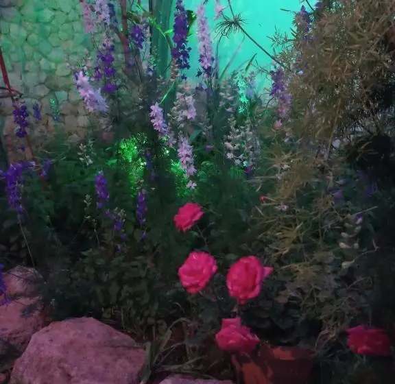 スタンダードトリプルルーム, Mystery Garden Guest House