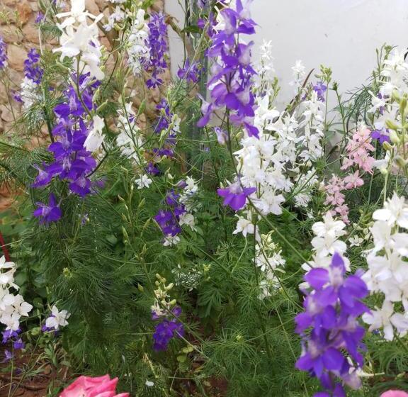 Номер Стандарт Трехместный, Mystery Garden Guest House