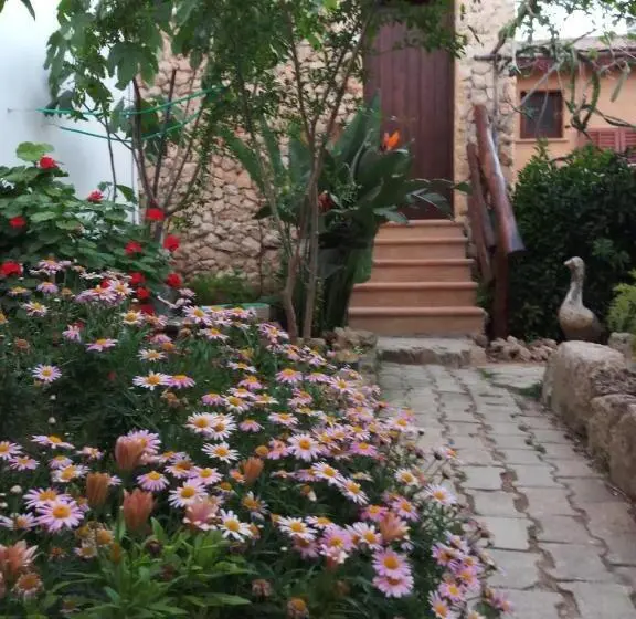 デラックスルーム, Mystery Garden Guest House