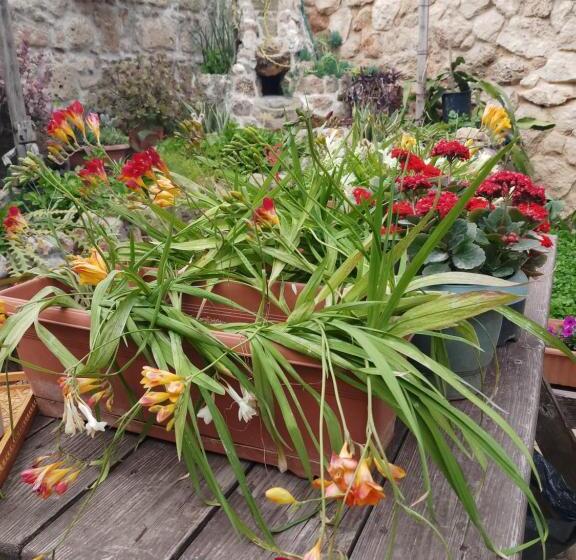 Номер Deluxe, Mystery Garden Guest House