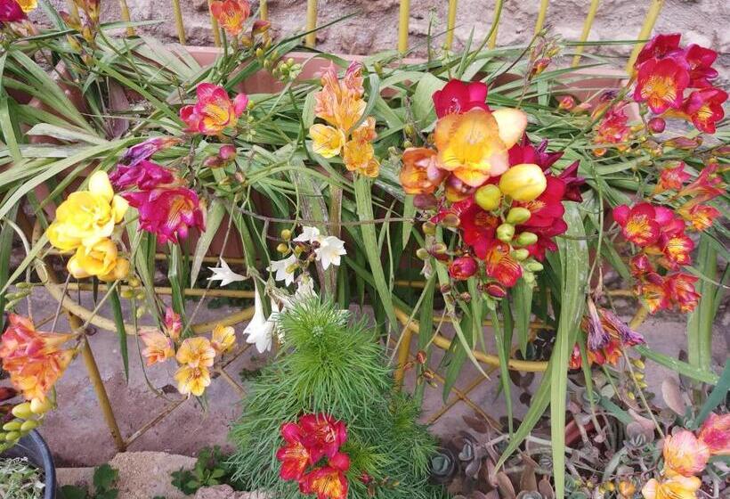 Номер Deluxe, Mystery Garden Guest House