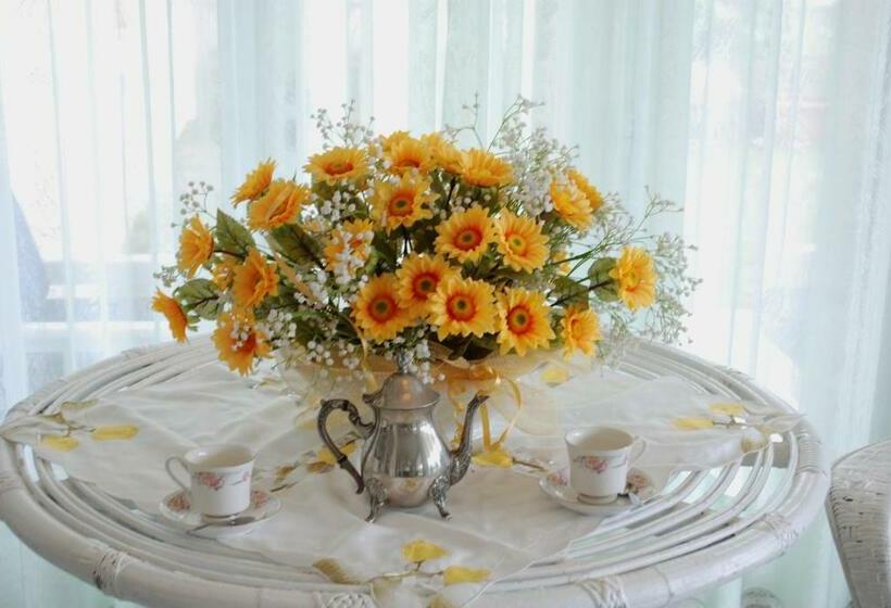 חדר סטנדרט נוף לים עם מרפסת, Mayflower