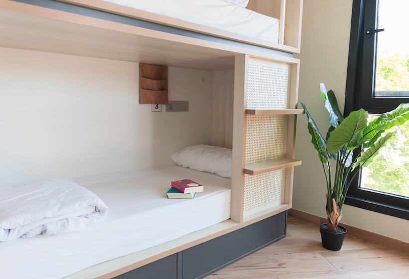 공용 욕실 구비 공동 객실 내의 침대, Koisi Hostel