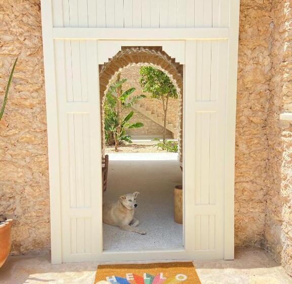 ویلای یک اتاق خوابه با استخر شنا, Kaouki Lodge