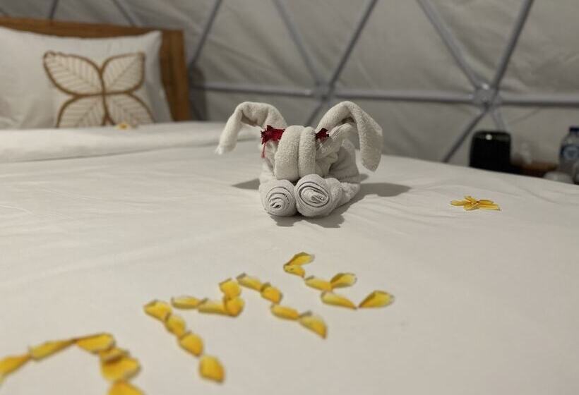 Standard Tent, Glamping @ Pebbles & Fins