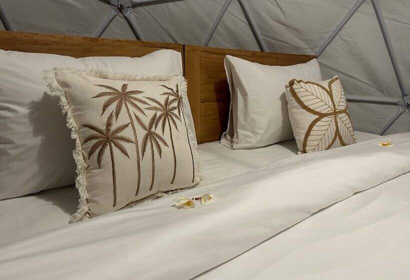 Standard Tent, Glamping @ Pebbles & Fins