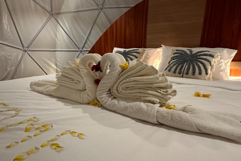 Standard Tent, Glamping @ Pebbles & Fins