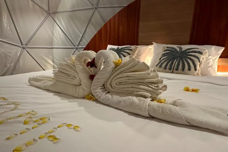 Standard Tent, Glamping @ Pebbles & Fins