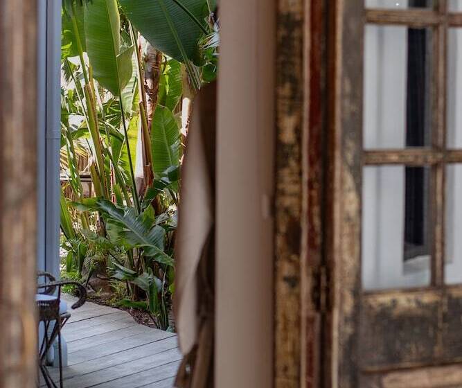 スイート, The Ivory Haus