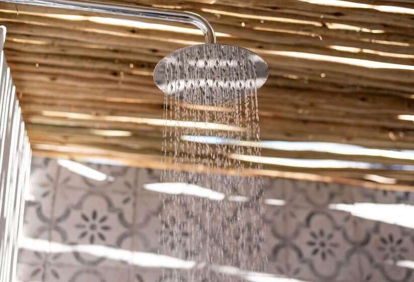 スイート, The Ivory Haus