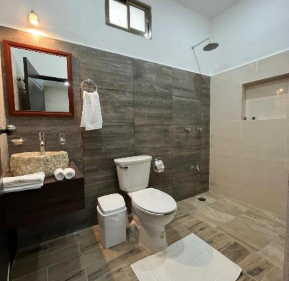 デラックスルーム, Zibahún