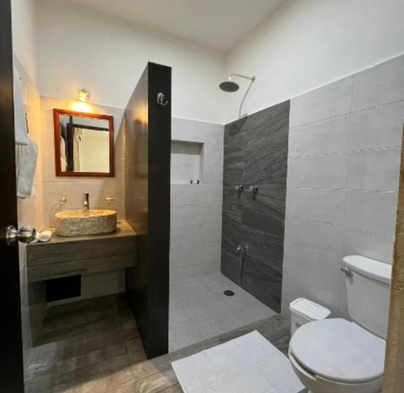 スタンダードルーム, Zibahún