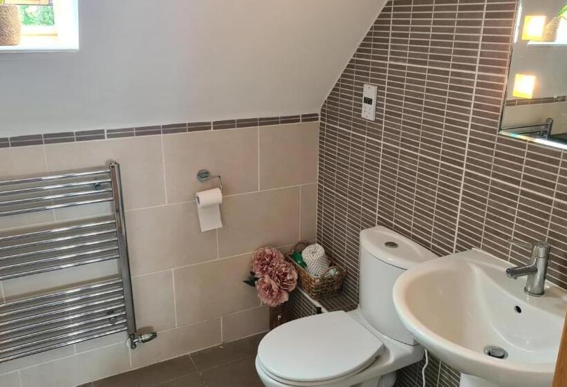 اتاق استاندارد با تخت بزرگ, Boutique Shrewsbury Rooms