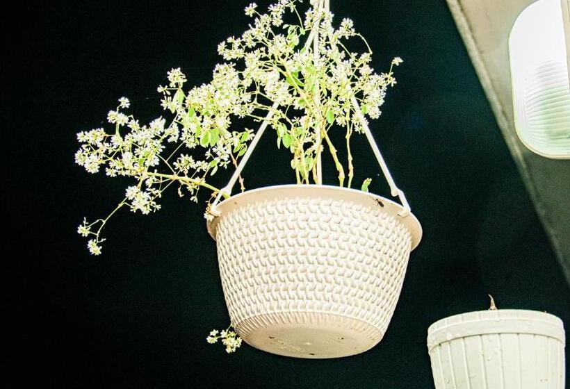 Family Room Mountain View, Wonder Mount Resort