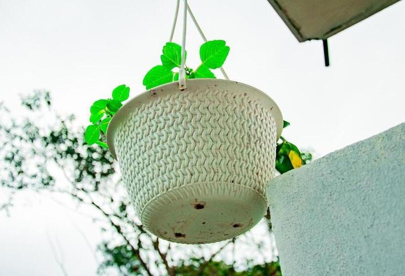 Deluxe Room, Wonder Mount Resort