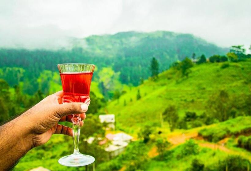 Family Room Mountain View, Wonder Mount Resort