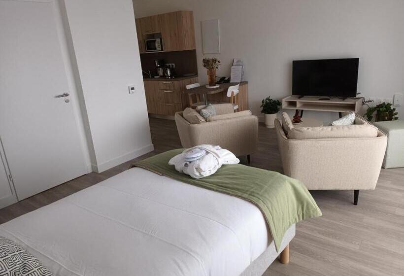 إستديو قياسى مزود بشرفة, Domitys Les Demoiselles