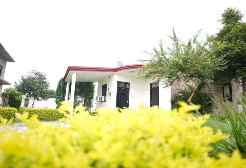 Номер Стандарт Вид на Сад, Farm Green View Resort