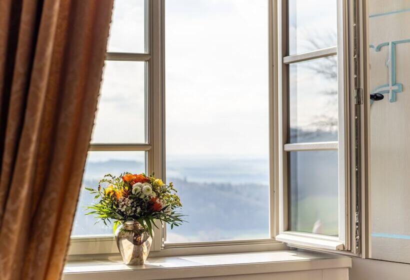 디럭스 룸, Schloss Frankenberg