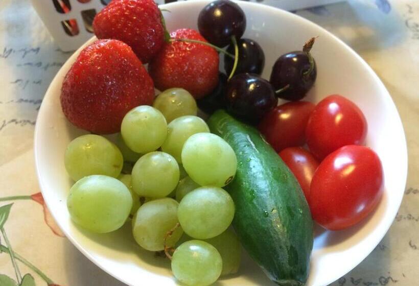 חדר בסיסי, B&b Nobel